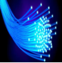 Fiber