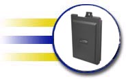 Cost effective, auto attendant, unlimited mailboxes